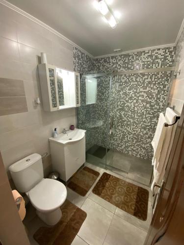 a bathroom with a toilet and a shower at Transilvania rent in Hunedoara