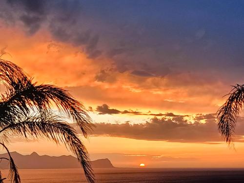 a sunset over the ocean with a palm tree at Villa Panorama in Trappeto