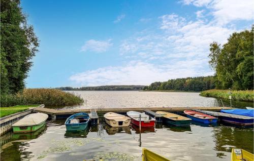 a group of boats parked at a dock on a river at Stunning Stacaravan In Lohmen Am See in Garden
