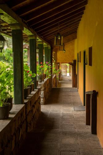 Gallery image of Hacienda La Alegria in Hacienda La Alegría