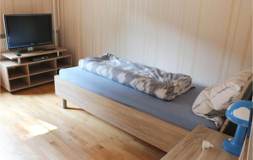 a room with a bed with a television on a table at Nice Apartment In Alt Bukow Ot Teschow in Teschow