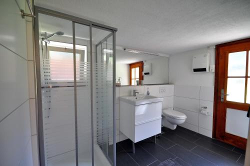 シュテッヘルベルクにあるWaterfall Chaletのバスルーム(トイレ、シャワー、シンク付)