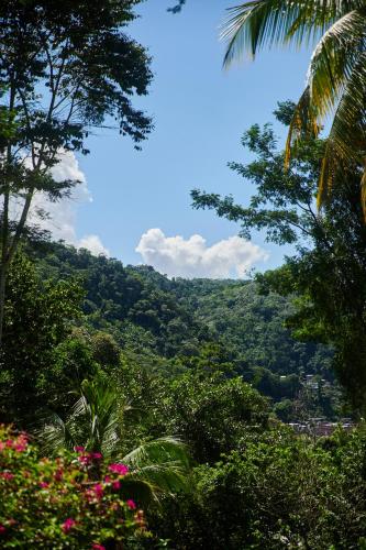 Landskap semula jadi dekat dengan lodge