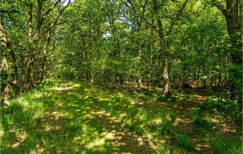 a path through a forest with trees and grass at 1 Bedroom Gorgeous Home In Hampen in Hampen