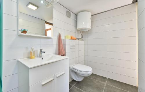 a white bathroom with a toilet and a sink at Amazing Home In Vinica Breg With Wifi in Gorušenjak