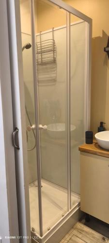 une douche en verre dans une salle de bain avec un lavabo dans l'établissement Jolie studio, à Argenteuil