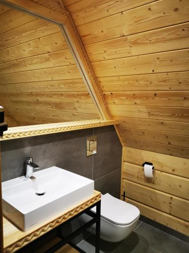 a bathroom with a white sink and a toilet at Bacówka Roztocze Resort & Spa in Zwierzyniec