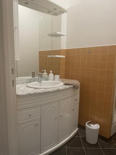 une salle de bain avec un lavabo et un miroir dans l'établissement Appartement Centre Historique de Montluçon, à Montluçon