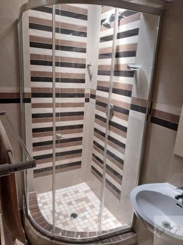 una cabina de ducha en un baño con lavabo en The Flamingo Suite at Frederick's Place, en Pretoria