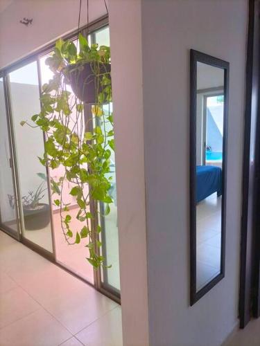 a room with a mirror and a potted plant at Casa Bambú in Mérida