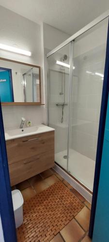 une salle de bain avec douche et lavabo dans l'établissement Argelès 50 m plage, vue mer, à Argelès-sur-Mer