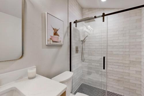 a bathroom with a shower with a toilet and a sink at Two Bit Cabin in Deadwood