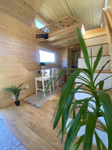 Domki Krynica Zdrój, Leśna Przystań - Tiny House na stoku