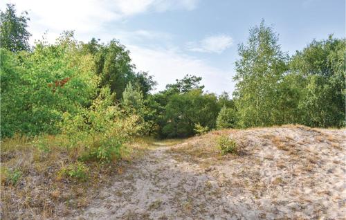 a dirt road in a field with trees at Klitterbyn 16 in Ängelholm