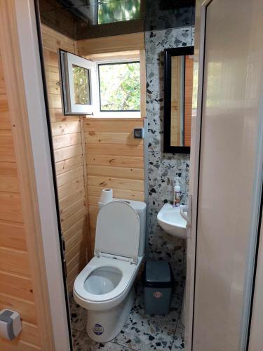 a small bathroom with a toilet and a sink at hill-fort kutaisi in Kutaisi