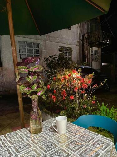 Taman di luar Cozy Home in Baguio