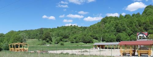 a barn and a building with a mountain in the background at Camping Pentru Rulote, Auto Rulote, Corturi Personale La Barbosu in Lepsa, Vrancea in Lepşa