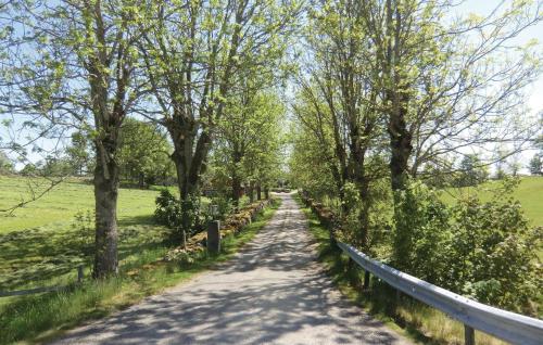 a dirt road with trees and a fence at Holiday Home Holmsjövägen Holmsjö Ii in Holmsjö