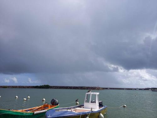 two boats in the water with birds in the water at Maison au bord de mer in Sainte-Rose