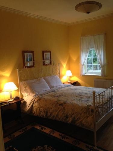 a bedroom with a bed with two lamps and a window at Kilbora B&B in Camolin
