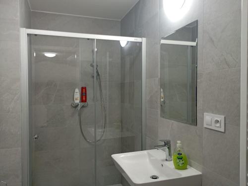 a bathroom with a shower and a sink and a mirror at Nový apartmán s terasou, soukromé parkování in Brno
