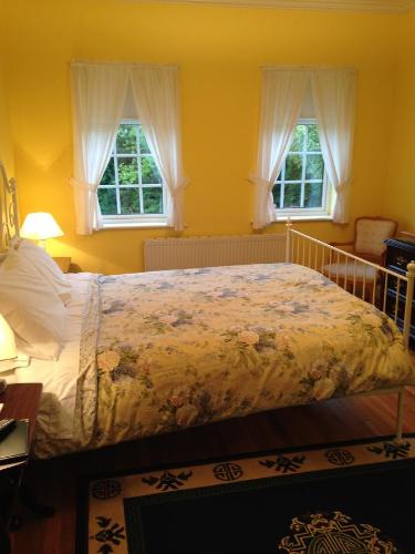 a bedroom with a bed and two windows at Kilbora B&B in Camolin