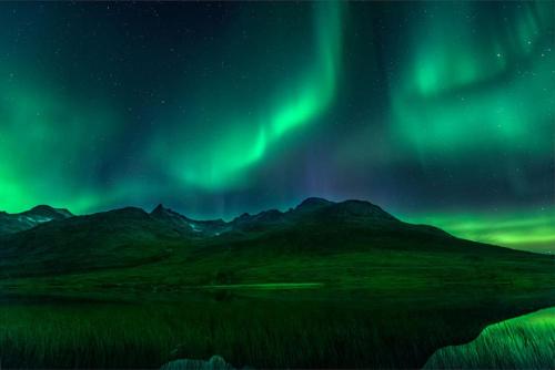 an image of the aurora dancing in the sky at Small studio appartment in Tromsø