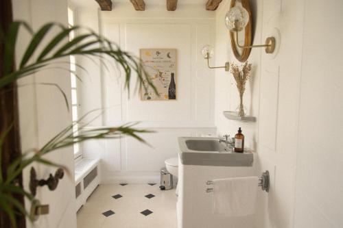 une salle de bain avec un lavabo et des toilettes dans l'établissement Maison pour 15 personnes - Piscine - 50 min /Paris, à Poigny-la-Forêt