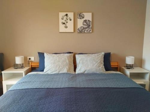 Studio Apartman Runko