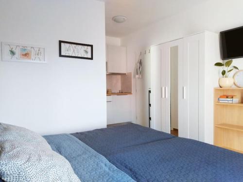 Studio Apartman Runko