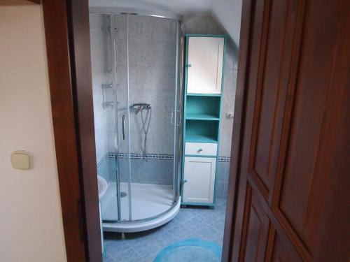 a bathroom with a shower with a glass door at Apartment Najadka in Bobrovec