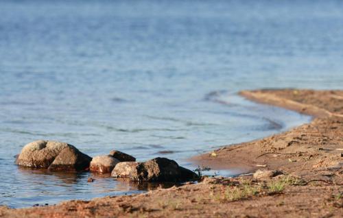 a group of rocks in the water on a beach at 1 Bedroom Awesome Home In Dalum in Tomten