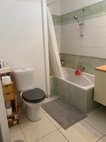 une salle de bain avec toilettes et baignoire dans l'établissement Appartement duplex la Ciotat, à La Ciotat