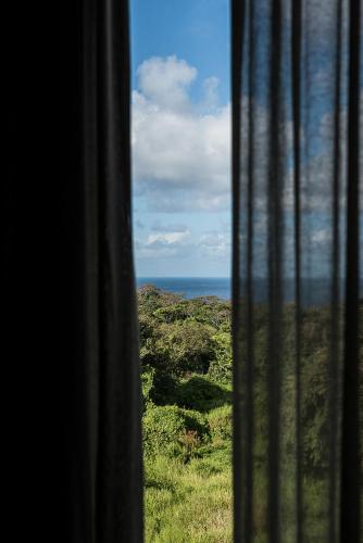 a view of the ocean from a train window at Triângulo Noronha in Fernando de Noronha