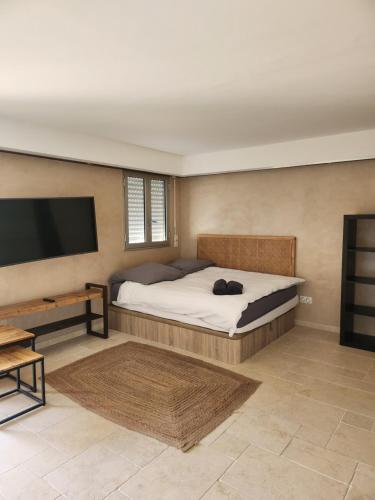 une chambre avec un lit et une télévision à écran plat dans l'établissement Grand logement tout confort pour 4 personnes dans une résidence de haut standing, à Saint-Tropez