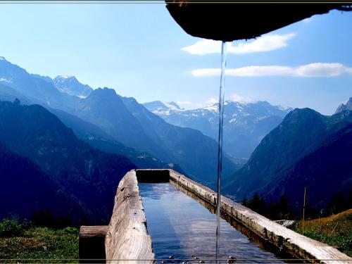 Chalet Alpage près des Cimes, 8 pers, Terrasse, Animaux admis - FR-1-464-148