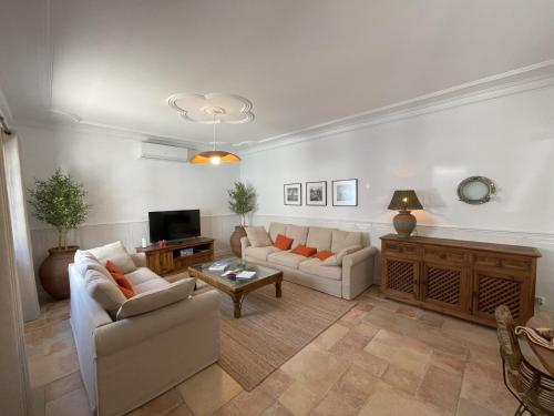 a living room with two couches and a tv at Living Luzia in Santa Luzia