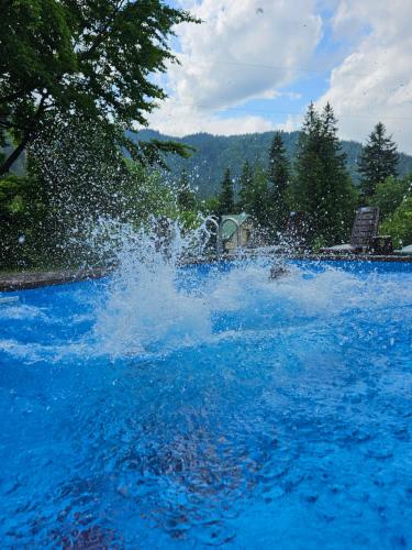 a splash of water in a pool of blue water at Pigy in Tatariv