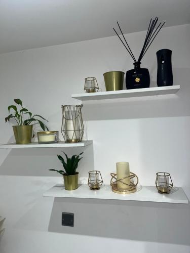 a white shelf with pots and plants on it at Luxury 1 bedroom apartment Bromley in Eltham