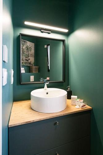 une salle de bain avec un lavabo blanc et un miroir dans l'établissement Bel appartement neuf et paisible, à La Chapelle-des-Fougeretz