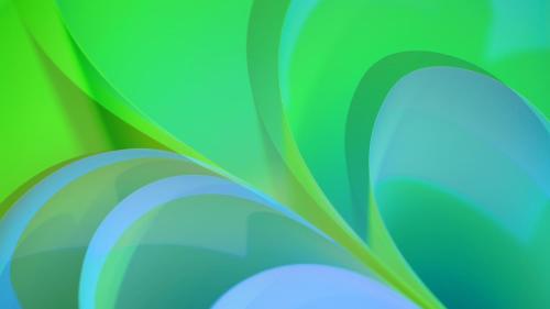 une fermeture d’une plante verte dans l'établissement appt 2 chambres, à Montpellier