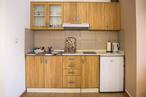 Apartments Velickovicにあるキッチンまたは簡易キッチン