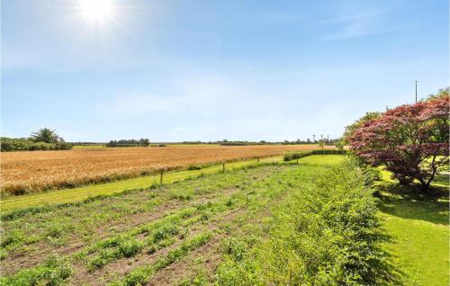 a field of crops with the sun in the background at Awesome Home In Bedsted Thy in Bedsted Thy
