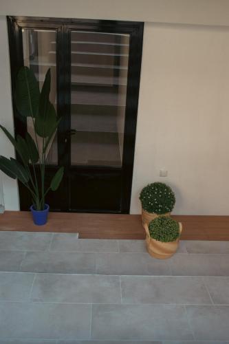 a room with two potted plants in front of a door at Emily Apartments 3 in Chrysoupolis
