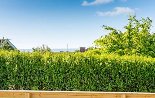Κήπος έξω από το Amazing Home In Ebeltoft With Wifi