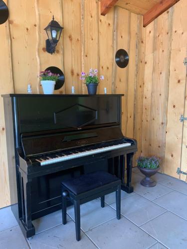a piano in a room with some potted plants at Penzion Pod pecí in Lenora