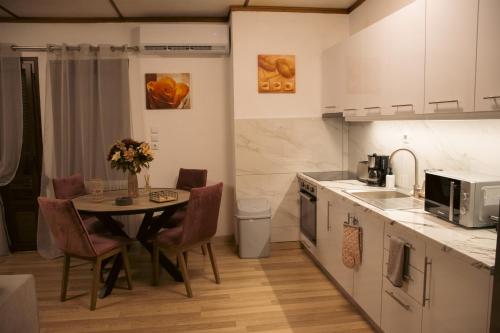 Η κουζίνα ή μικρή κουζίνα στο Emily Apartment 5
