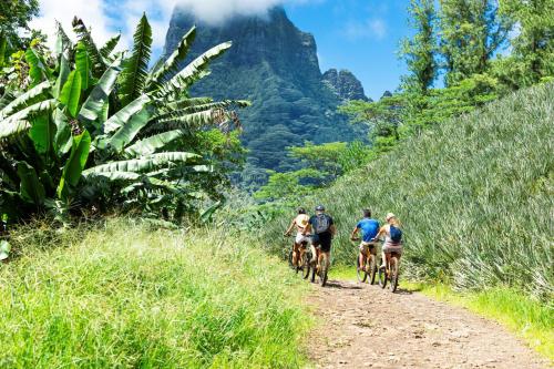 a group of people riding bikes down a dirt road at MOOREA - The ZEN Den spa in Pihaena