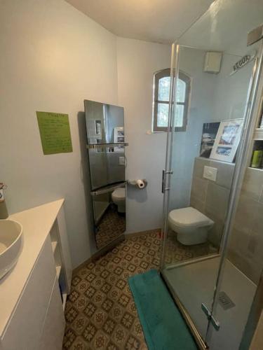 une salle de bain avec une douche, des toilettes et un lavabo dans l'établissement Idéal Jeux Olympiques - Charmante maison proche Paris, à Garches