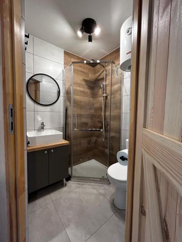 a bathroom with a shower and a sink and a toilet at Słona Fala in Sianozety